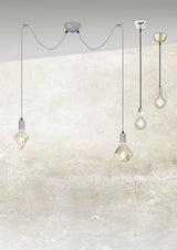 310100261 ambiente
