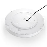 Ideal Lux Ray - ZOO001