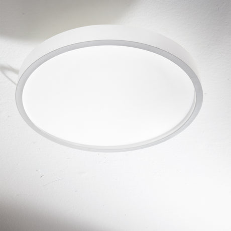 Ideal Lux Ray - ZOO002