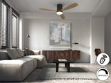 Ventilador de techo Schuller Siroco LED negro y nogal madera CCT regulable Ø132cm 329514D vista 1