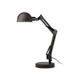 Faro Baobab 51909 Baobab, Flexo extensible de bajo consumo Negro