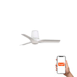 Ventilador de techo con luz Faro Hey motor DC palas de madera LED blanco y madera 2700-6000K CCT 33826WT-1TW