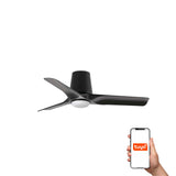 Ventilador de techo con luz Faro Hey motor DC palas de madera LED negro y madera 2700-6000K CCT 33827WT-1TW