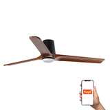 Ventilador de techo con luz Faro Heywood motor DC palas de madera LED nogal oscuro 2700-6000K CCT 33839WT-1TW