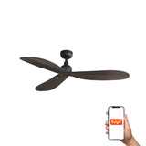 Ventilador de techo Faro Palma M marrón oscuro 3 palas motor DC Ø129cm 34301WT