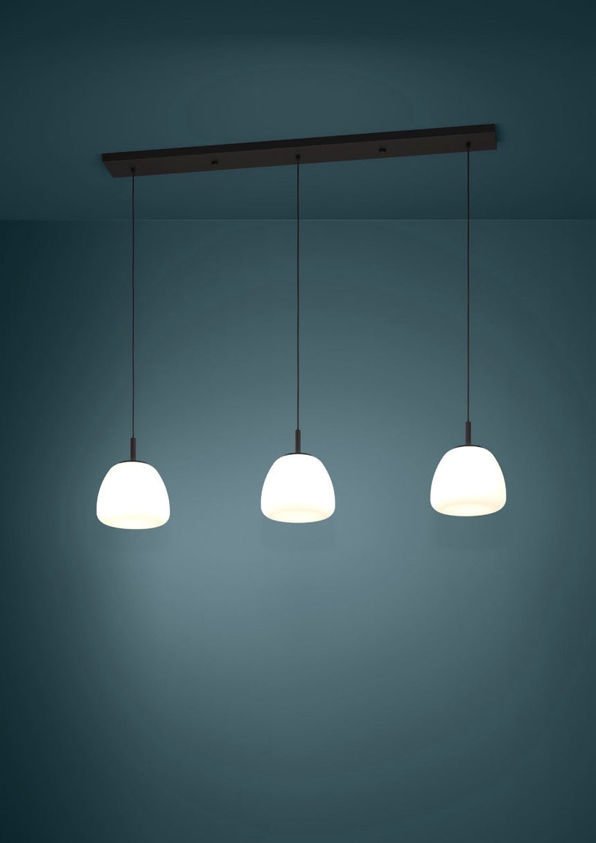 EGLO Balmes Lámpara de techo colgante acero vidrio opalino mate negro blanco 390202