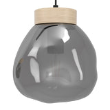 EGLO Magacela Lámpara de techo colgante aceromadera vidrio vaporizado negro gris 390318