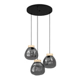 EGLO Magacela Lámpara de techo colgante aceromadera vidrio vaporizado negro gris 390319