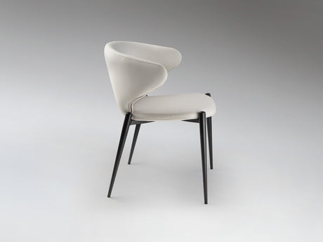 Silla Schuller Alize negro y blanco 56x75cm 408639