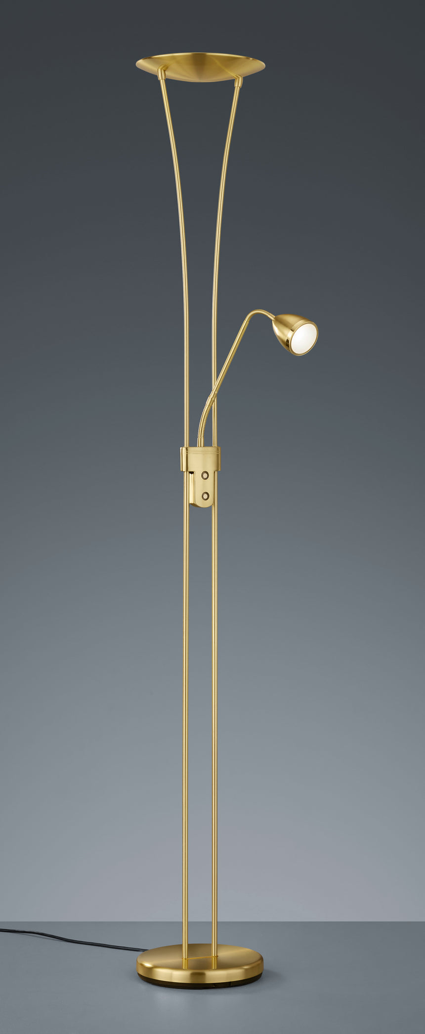 Trio Arizona Matte Bronze Metal LED Floor Lamp 426410208