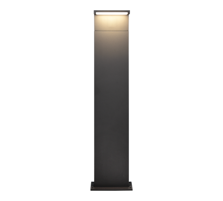 Baliza de exterior Trio Ravi LED antracita IP65 100cm 438660142