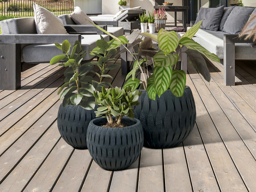 Set maceteros Schuller Yuca negro 37cm 447058