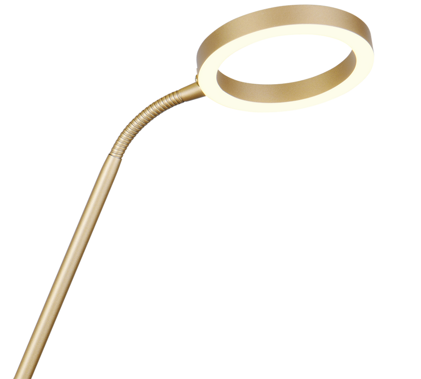 Lámpara de pie Trio Willis LED gold-colored 180cm 449510279