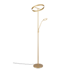 Lámpara de pie Trio Willis LED gold-colored 180cm 449510279