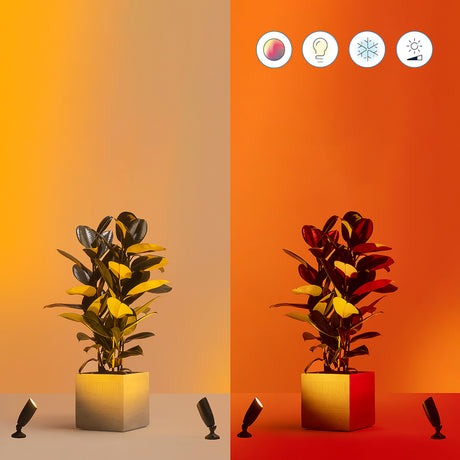 WiZ Foco 5W 300lm (2 uds) 07165000 - imagen 6 | Philips