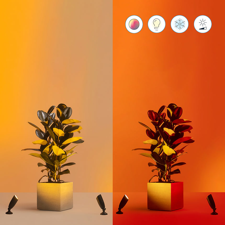 WiZ Foco 5W 300lm (2 uds) 07165000 - imagen 6 | Philips