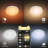 Philips Hue White and Color Ambiance Plafón flourish blanco RGBW 33W 2250lm 8719514343504 - imagen 5