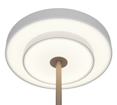 Lámpara de sobremesa Trio Keaton LED gris cálido 45,5cm 540210176