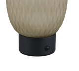 Lámpara de sobremesa Trio Facette LED green táctil 3000K 564210115