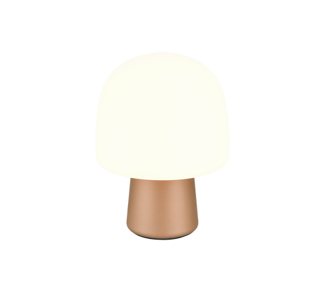 Lámpara de sobremesa Trio Steen marrón 568200165 - vista 5