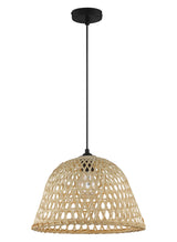 Lámpara colgante MDC David 20W 580215501