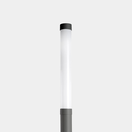 LedsC4 LE60-E001-Z5-EH