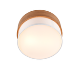 Plafón de techo Trio Seasons LED níquel mate 3000K Ø30cm 611500201