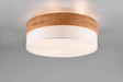 Plafón de techo Trio Seasons LED níquel mate 3000K Ø50cm 611500301