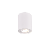 Trio Cookie Metal ceiling light mat white 612900131