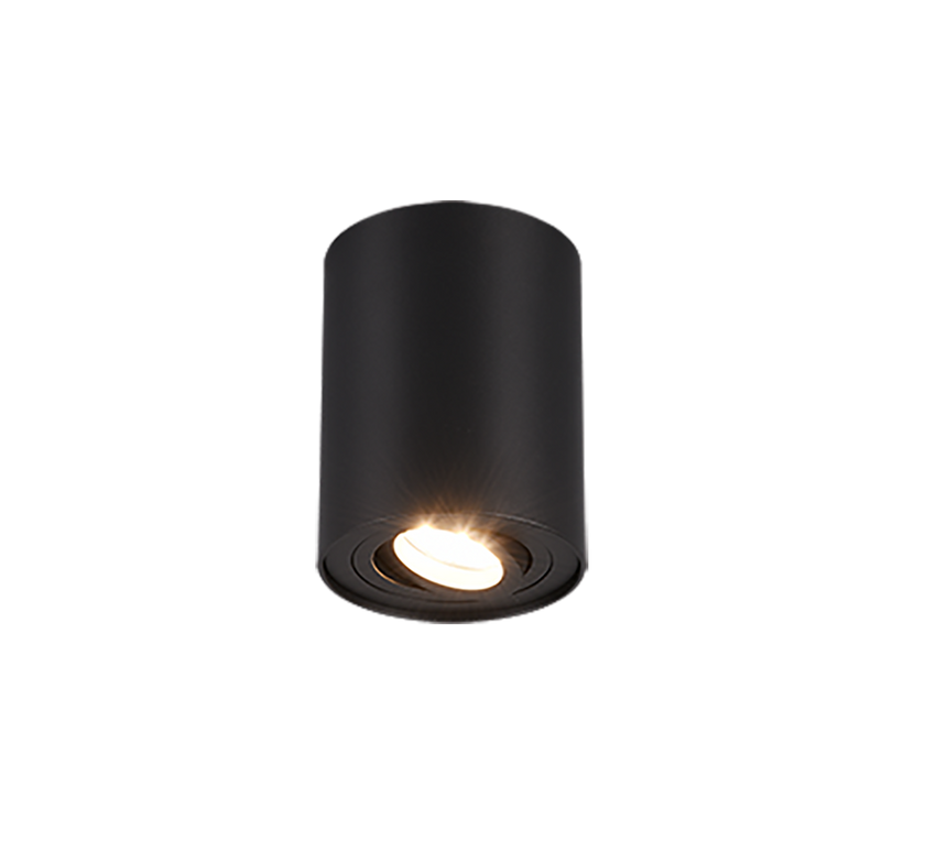 Trio Cookie Metal ceiling lamp black mat 612900132
