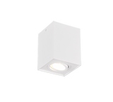 Trio Biscuit White mat metal ceiling light 613000131