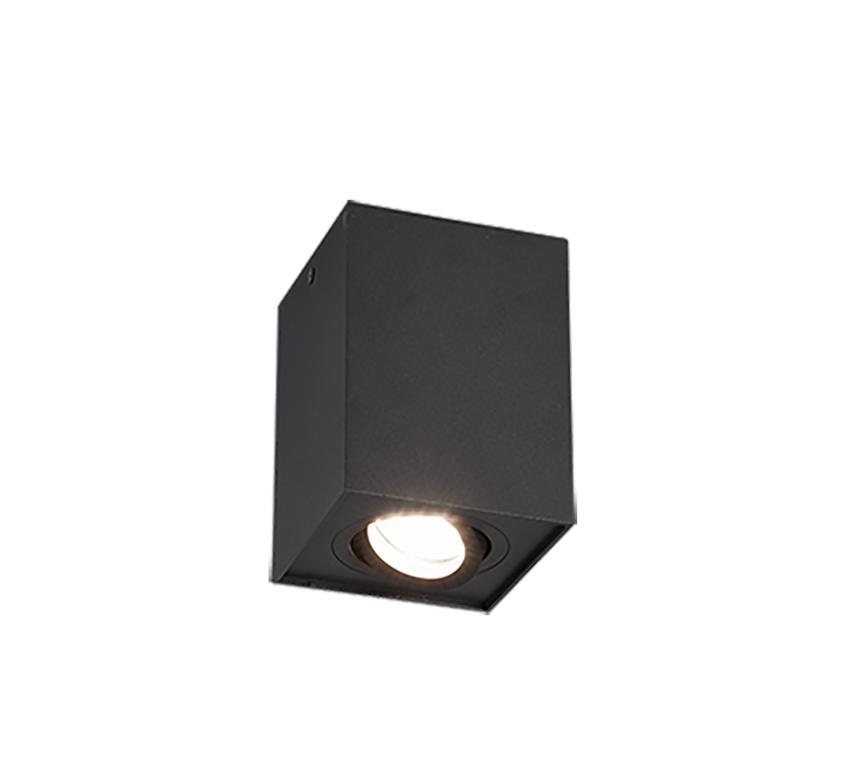Trio Biscuit Black mat metal ceiling light 613000132