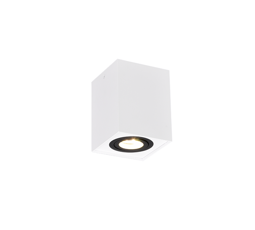 Plafón de techo Trio Biscuit LED black and white 3000K 9,6cm 613000134
