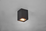 Plafón de techo Trio Biscuit LED negro y dorado 3000K 9,6cm 613000180