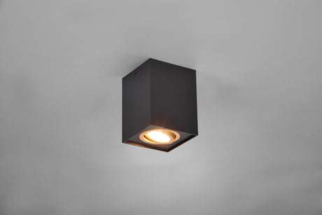 Plafón de techo Trio Biscuit LED negro y dorado 3000K 9,6cm 613000180
