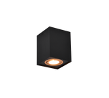Plafón de techo Trio Biscuit LED negro y dorado 3000K 9,6cm 613000180