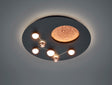Plafón de techo Trio Zodiac LED negro mate Ø50cm 644810132