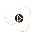 Plafón de techo Trio Caruso LED negro y dorado Ø65,5cm 648110680