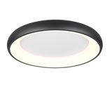 Plafón de techo Trio Cardona LED negro mate regulable Ø62cm 649616032