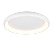 Plafón de techo Trio Cardona LED blanco mate regulable Ø75cm 649617531