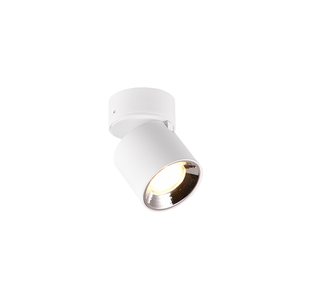 Plafón de techo Trio Guayana LED blanco mate 3000K Ø8,7cm 651000131