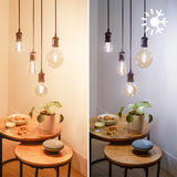 Philips LAMP LED WIZ EDISON 50W 927-65 .MA372269