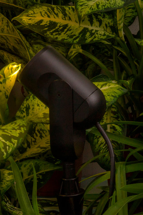 Faro 70037 - Foto de ambiente