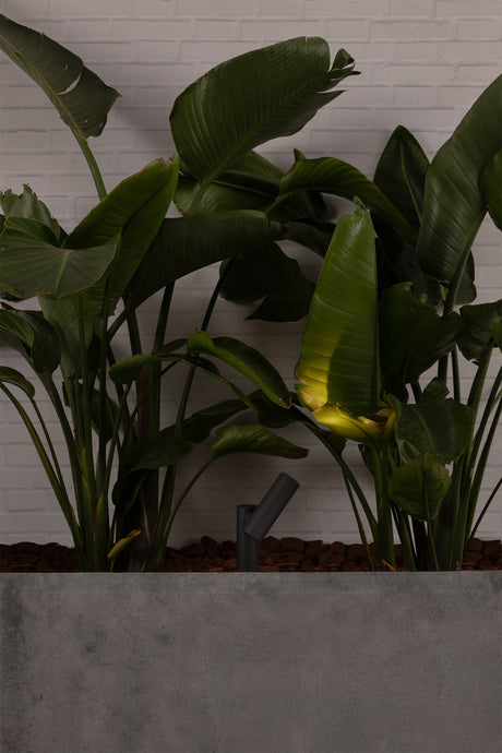Faro 70787 - Foto de ambiente