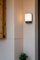Faro Pol Aplique Gris Oscuro Led 8W