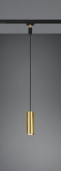 Lámpara de techo colgante Trio DUOline LED latón mate 3000K 180cm 73240108