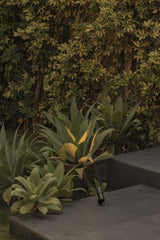 Proyector de exterior Faro Puk LED negro 3000K IP65 20° 24V 36 75300-232