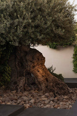 Proyector de exterior Faro Puk LED negro 2700K IP65 30° 59 75302-222