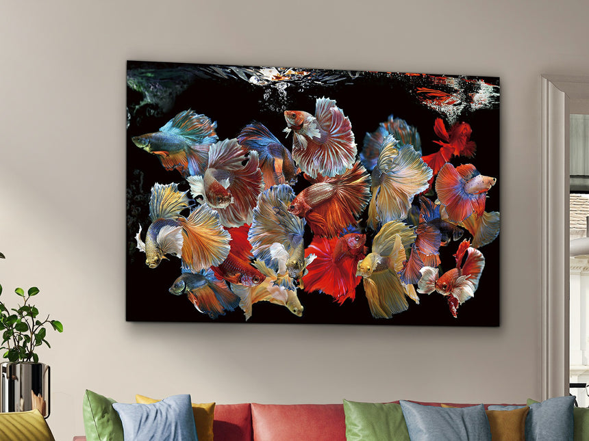 Cuadro fotografía impresa Schuller Peces Siam 150x100cm 755016