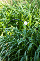 Estaca/Pincho de exterior Faro Cuca 92cm LED negro 2700K IP65 24V opal 65cm 75561